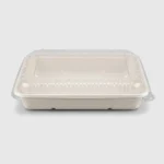 Envase 247 Bagasse